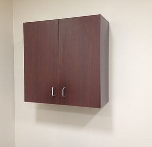 Mounted Cabinet